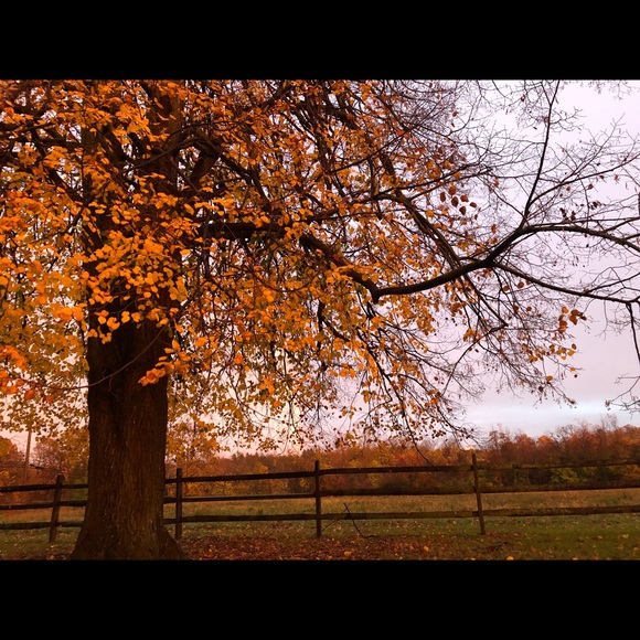 Meet your Posher, Meghan - Picture 1 of 1